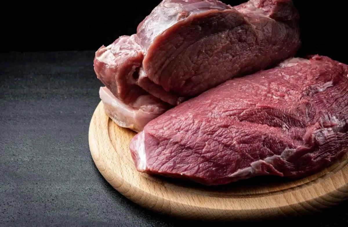 Exportações de carne bovina de MT batem recorde em maio