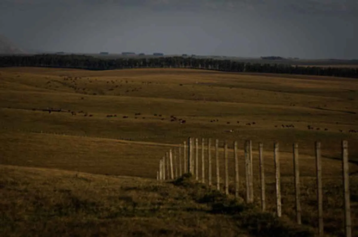 Inadimplência no campo cresce e pressiona renegociação