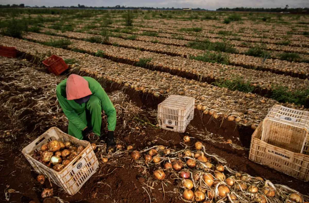 FPA critica decisões que afetam produtores rurais