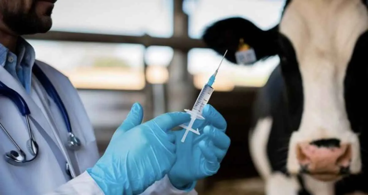 Antimicrobianos: entenda a substância que preocupa a UE