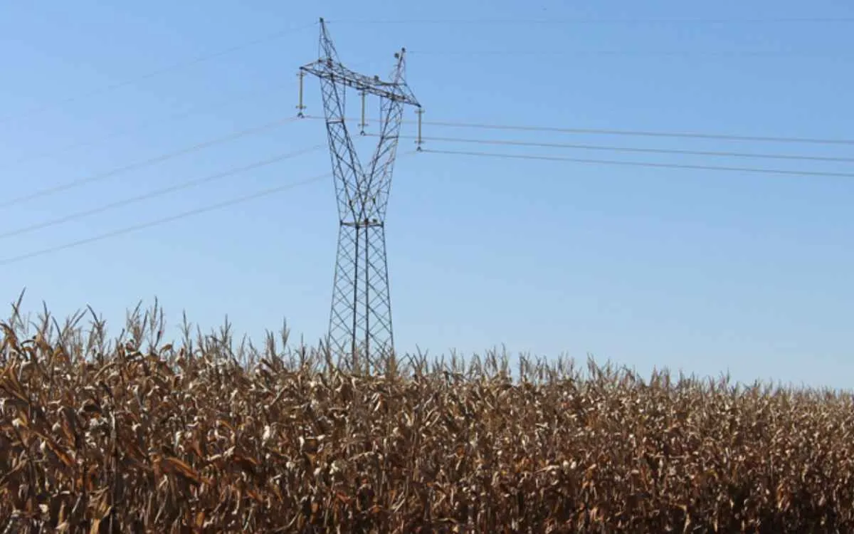 Reajuste na energia preocupa produtores rurais do Paraná