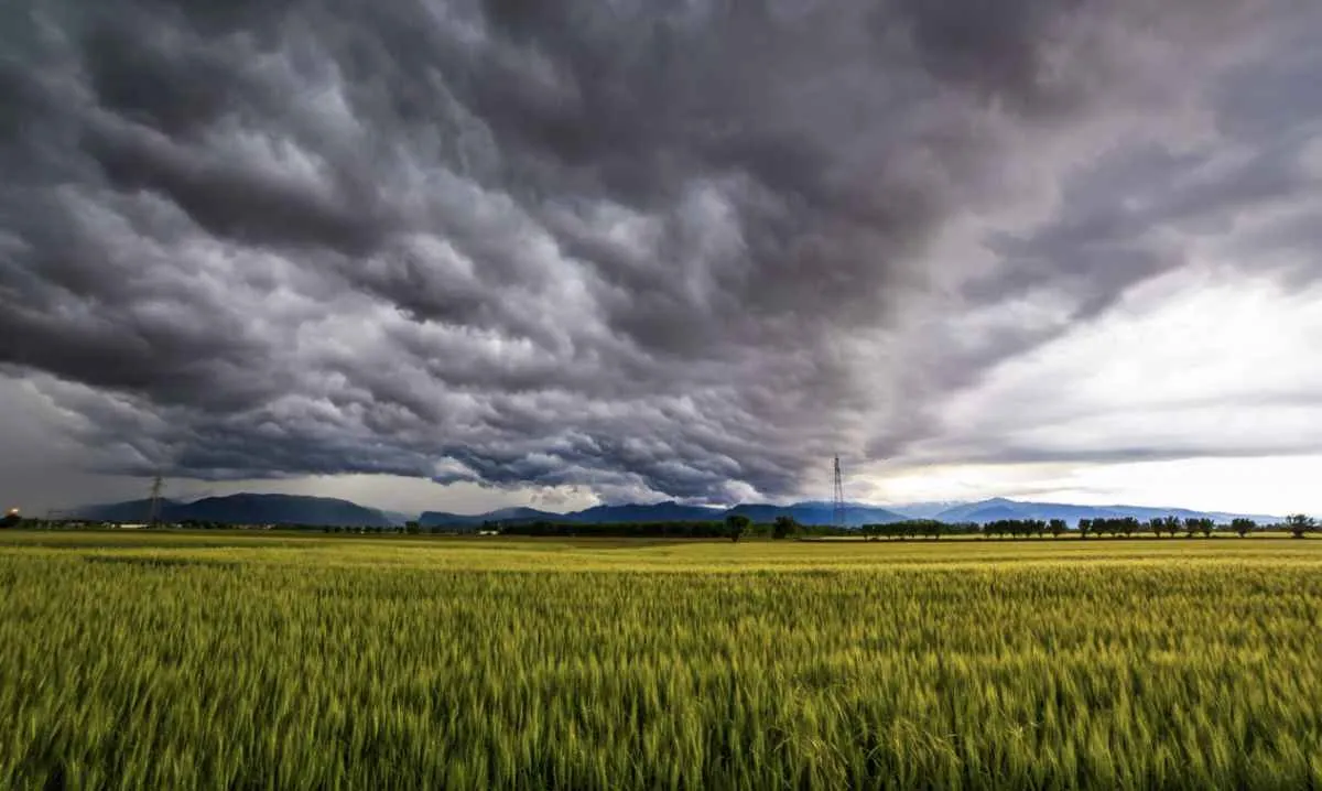 El Niño ganha força e coloca safra do Sul sob alerta máximo até 2027