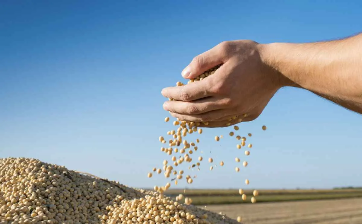 RS conclui safra de verão e avança no planejamento agrícola