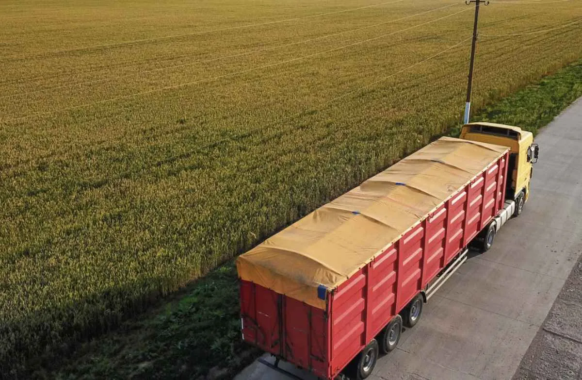 Preço do frete agrícola continua alto com safra recorde